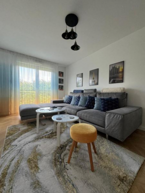 Appartement, Cosy Henri Barbusse